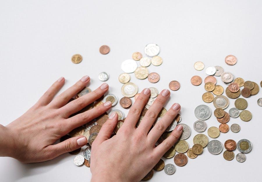 finansu izvele